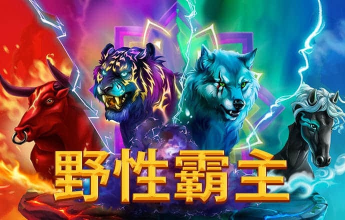 im电竞官方网站入口